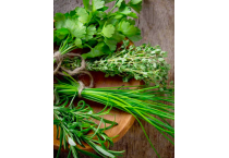 Herbs
